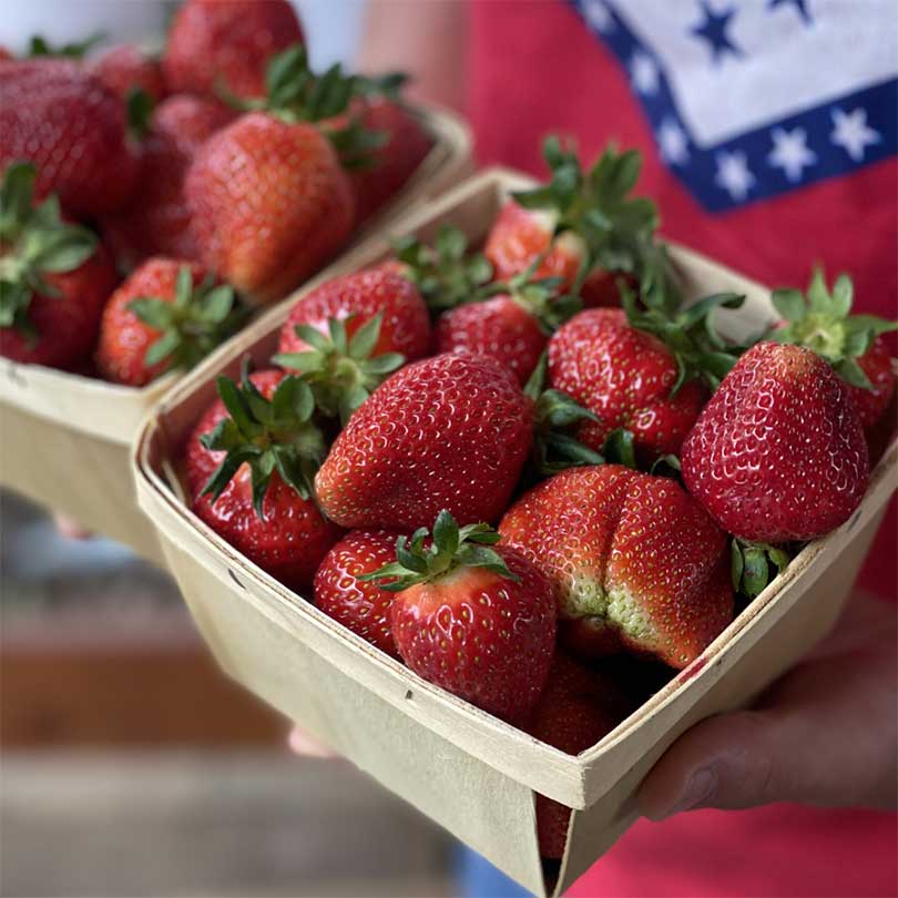 Arkansas strawberries